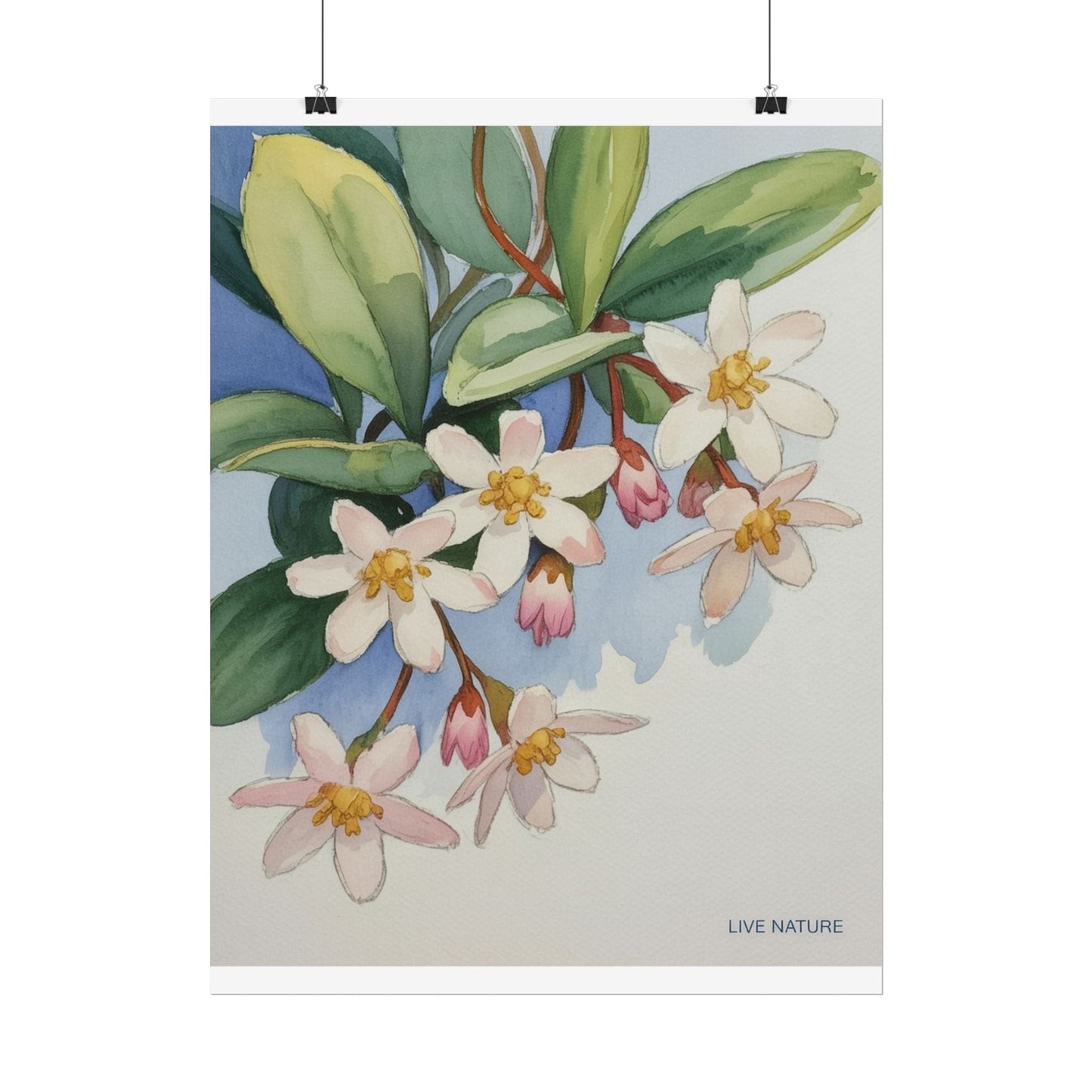 Mayflower Botanical Watercolor Art Print 'Live Nature