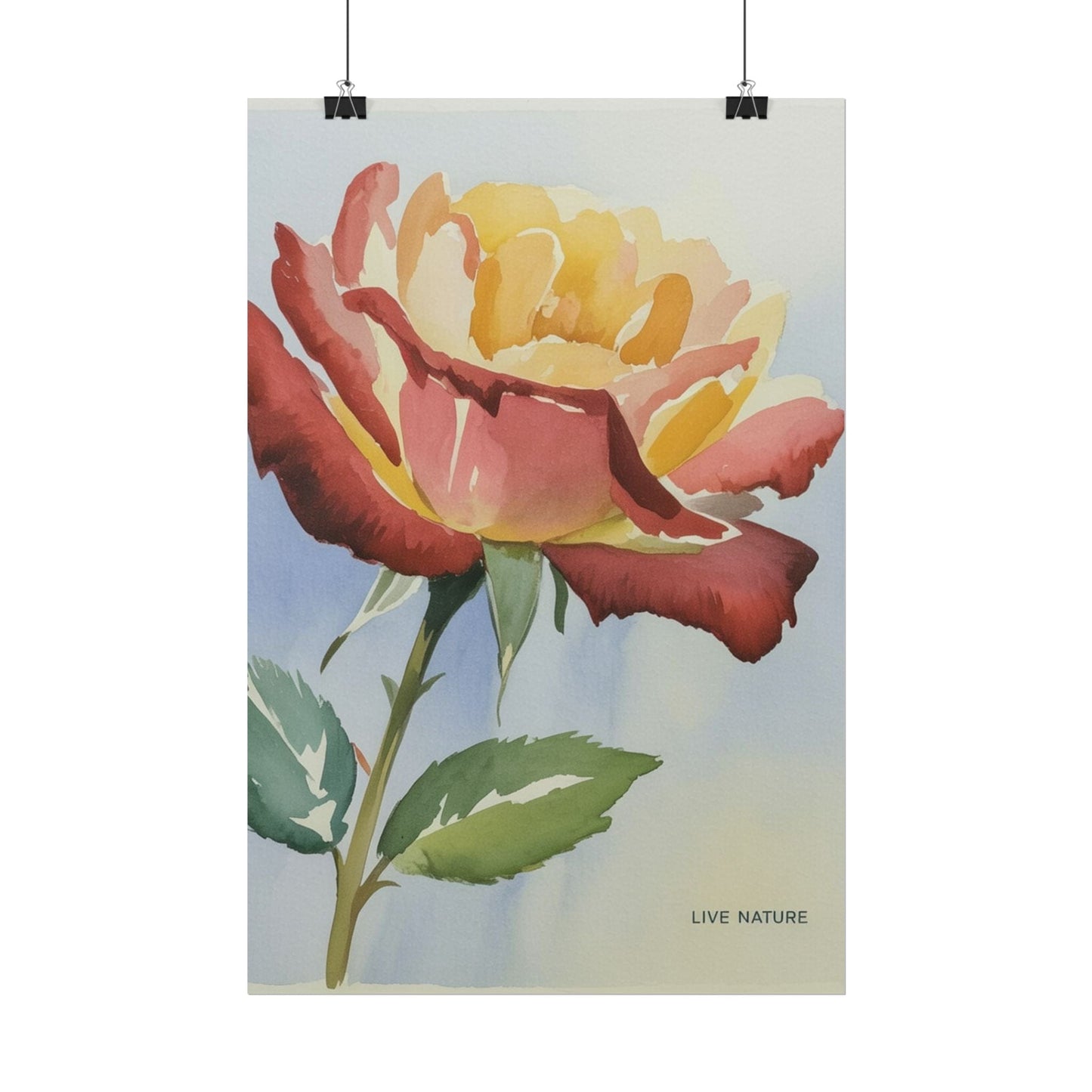 New York State Rose Watercolor Art Print