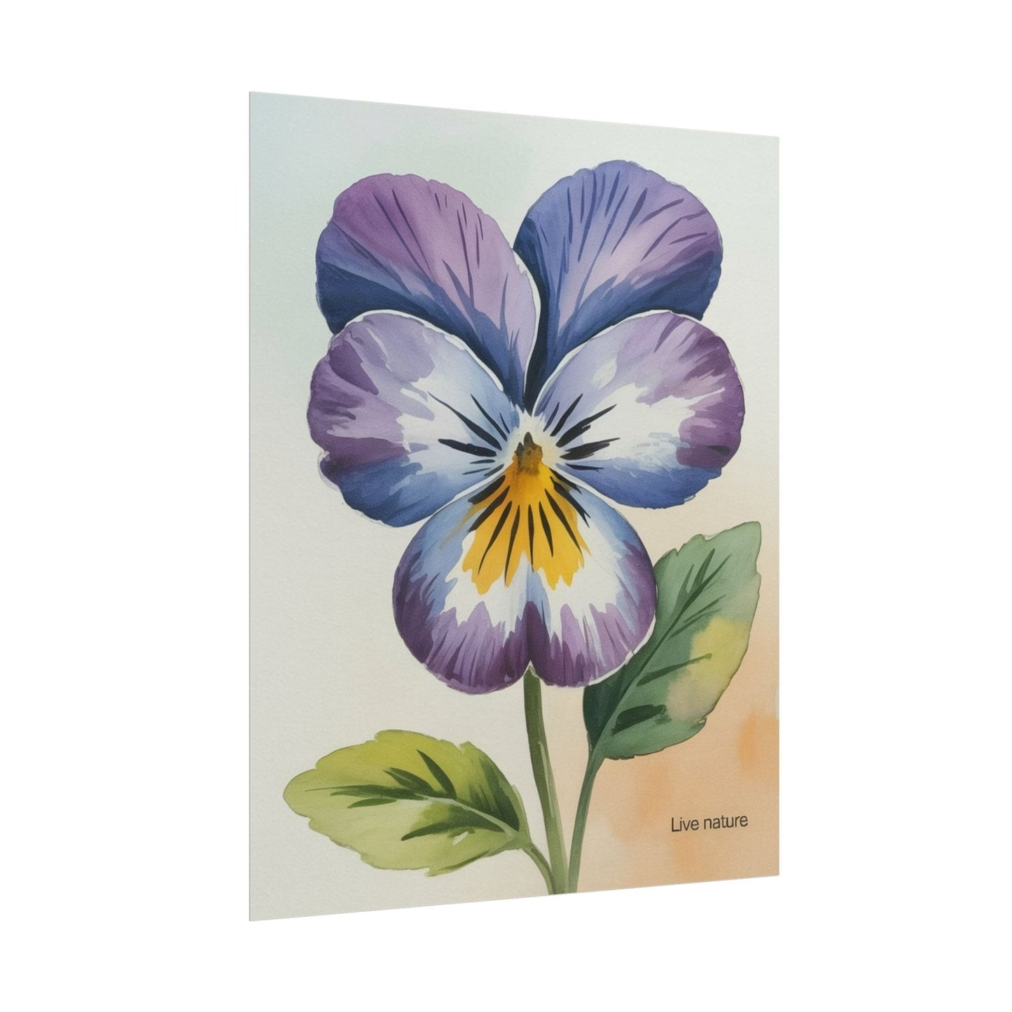 Purple Pansy Watercolor Poster Art Print - Live Nature