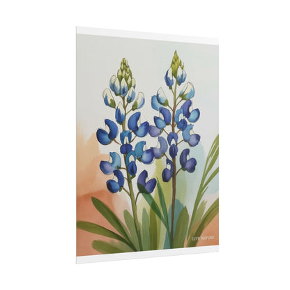 Texas Bluebonnet Watercolor Art Print Matte Finish