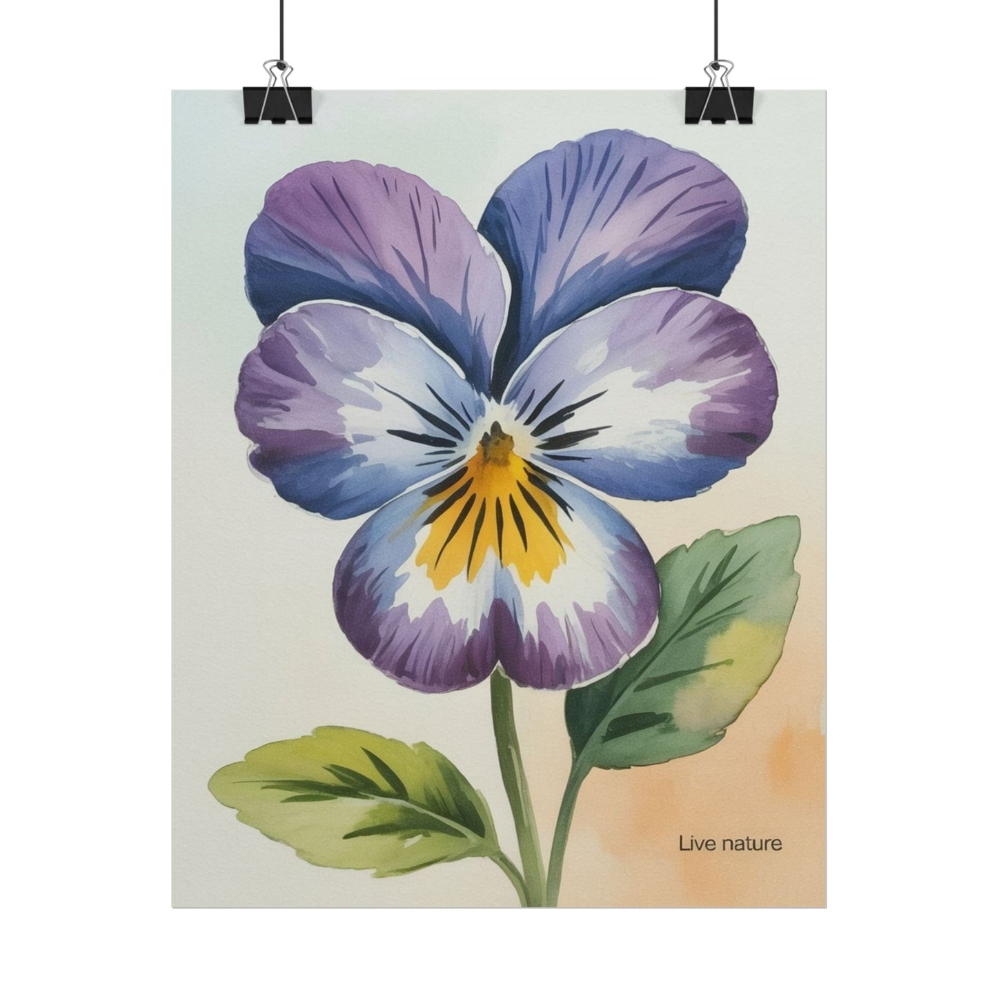 Purple Pansy Watercolor Poster Art Print - Live Nature