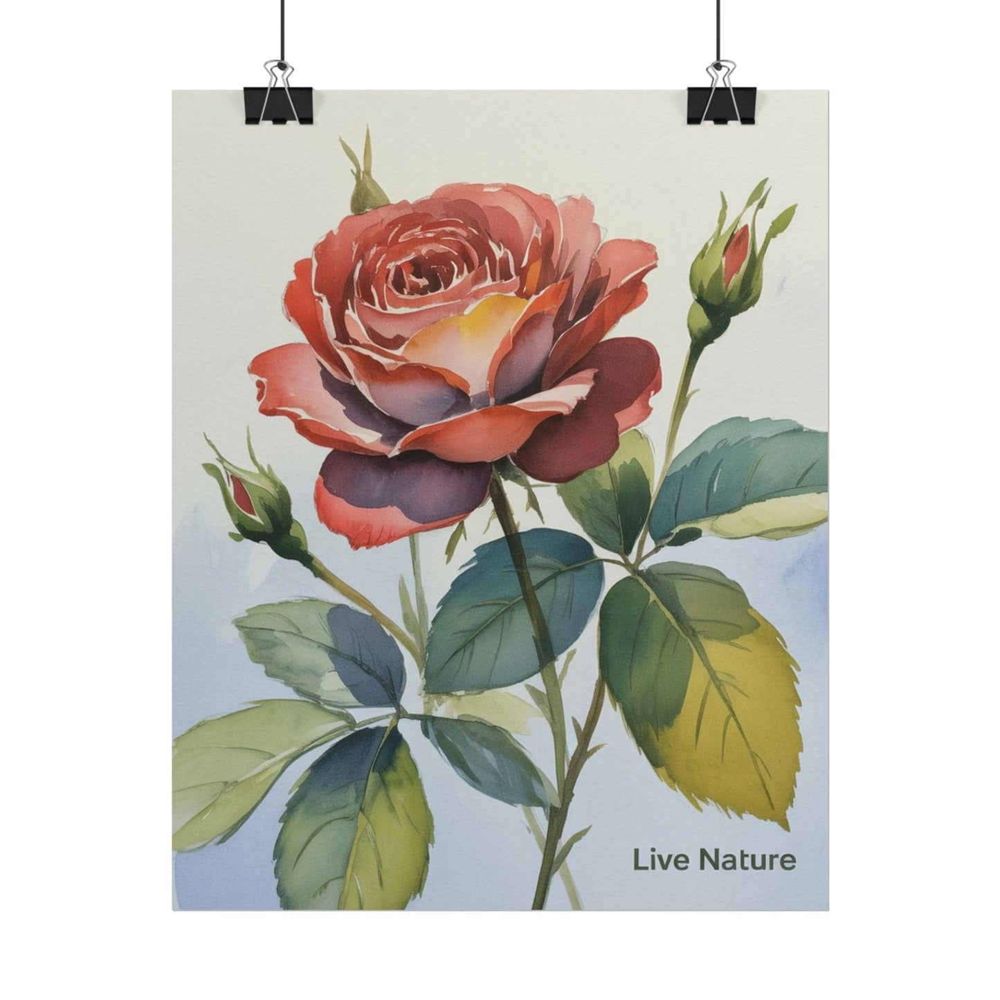 Live Nature Watercolor Rose Art Print Poster