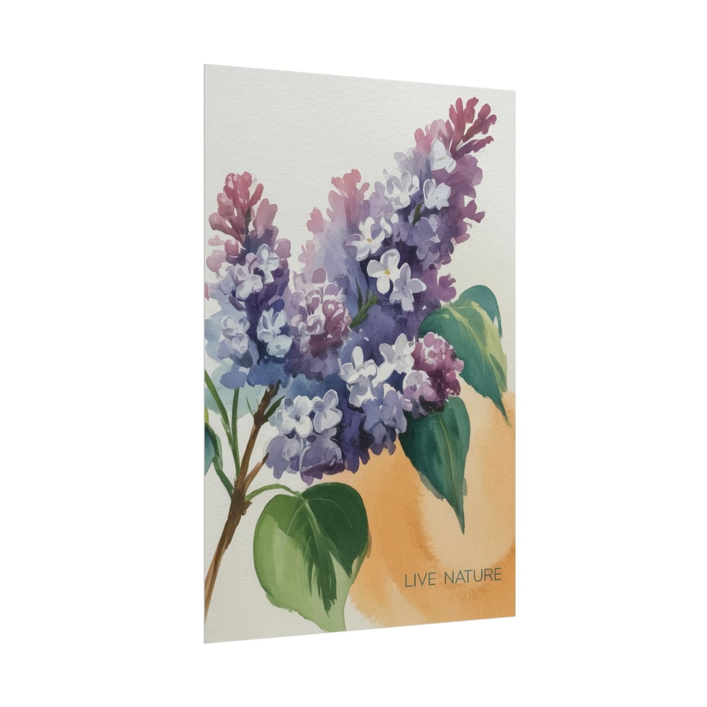 Lilac Blossom Watercolor Poster 'Live Nature' Design