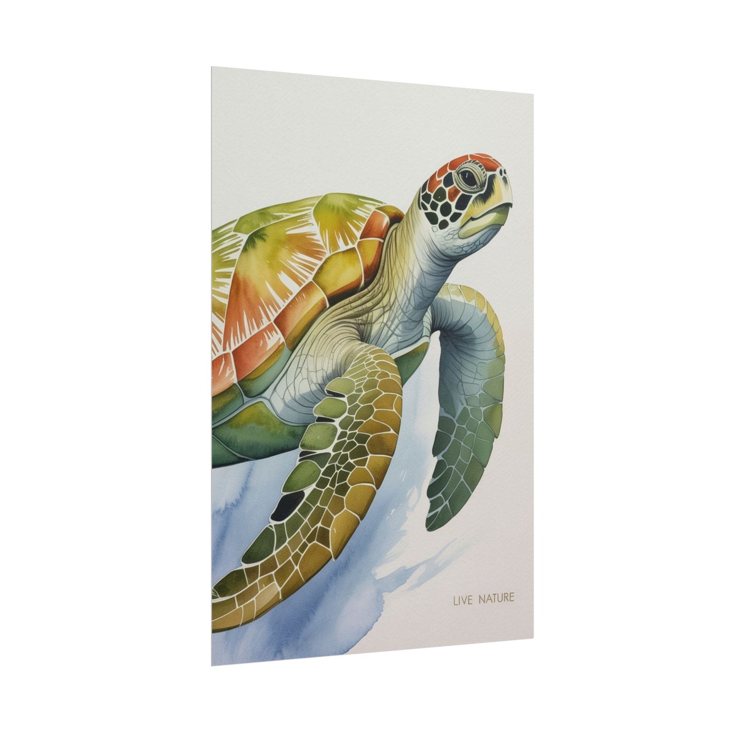 Sea Turtle Watercolor Art Print 'Live Nature' Design