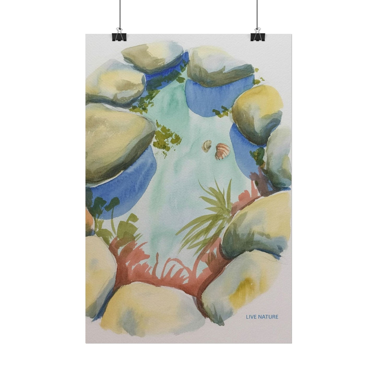 Rocky Tide Pool Watercolor Art Print 'Live Nature