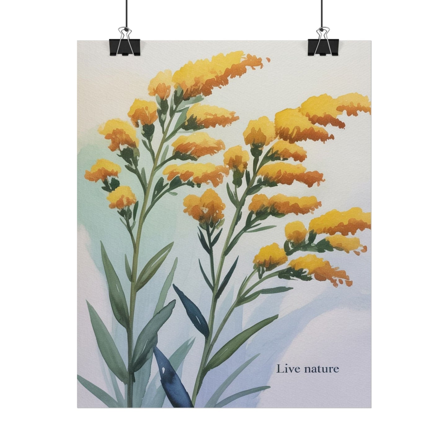 Goldenrod Flower Watercolor Poster - Live Nature Art