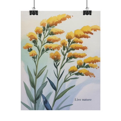 Goldenrod Flower Watercolor Poster - Live Nature Art