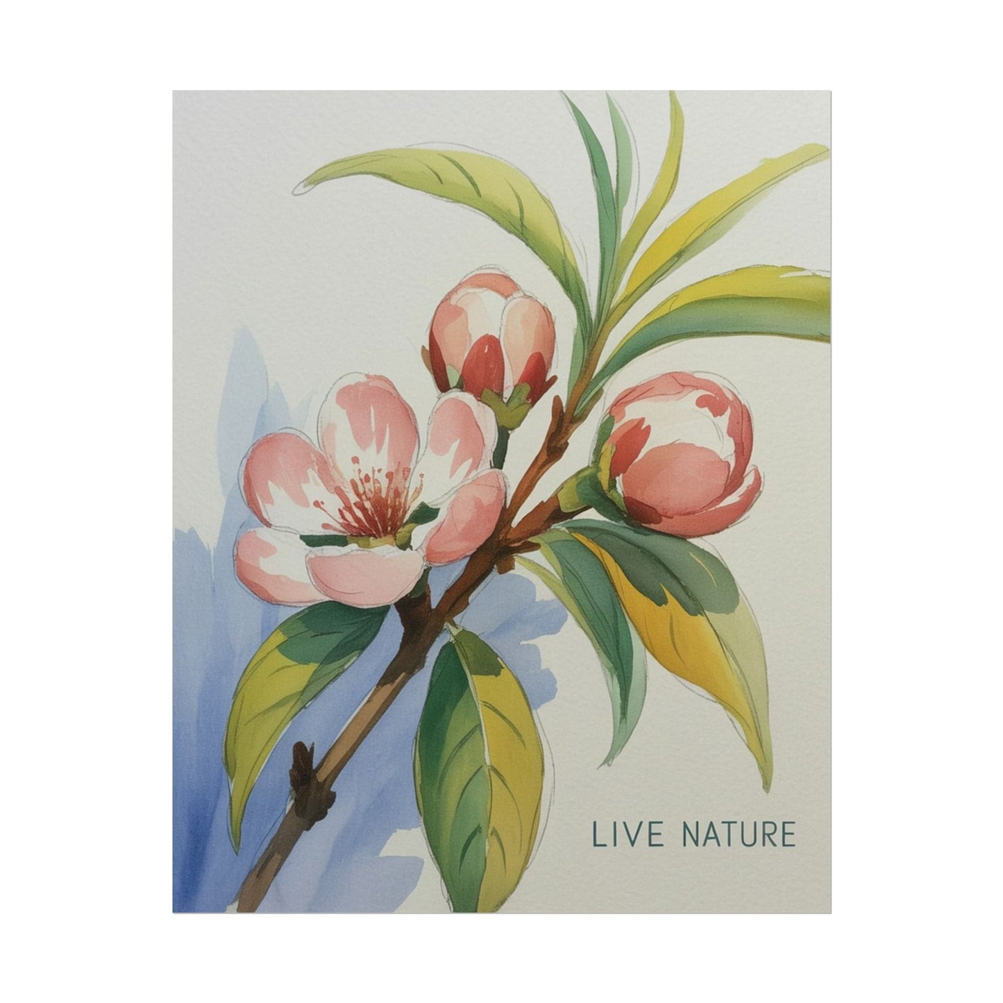Peach Blossom Live Nature Art Print Poster