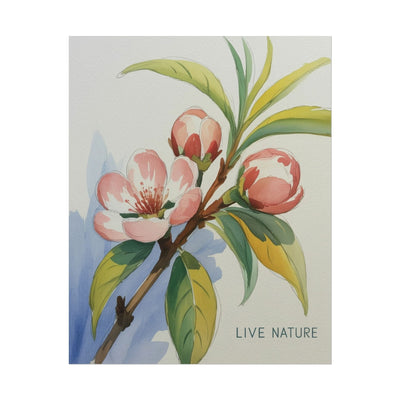 Peach Blossom Live Nature Art Print Poster