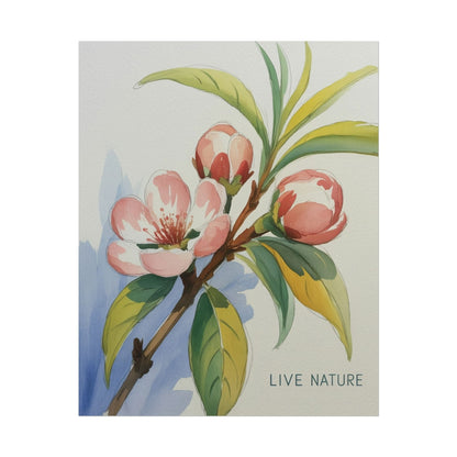 Peach Blossom Live Nature Art Print Poster