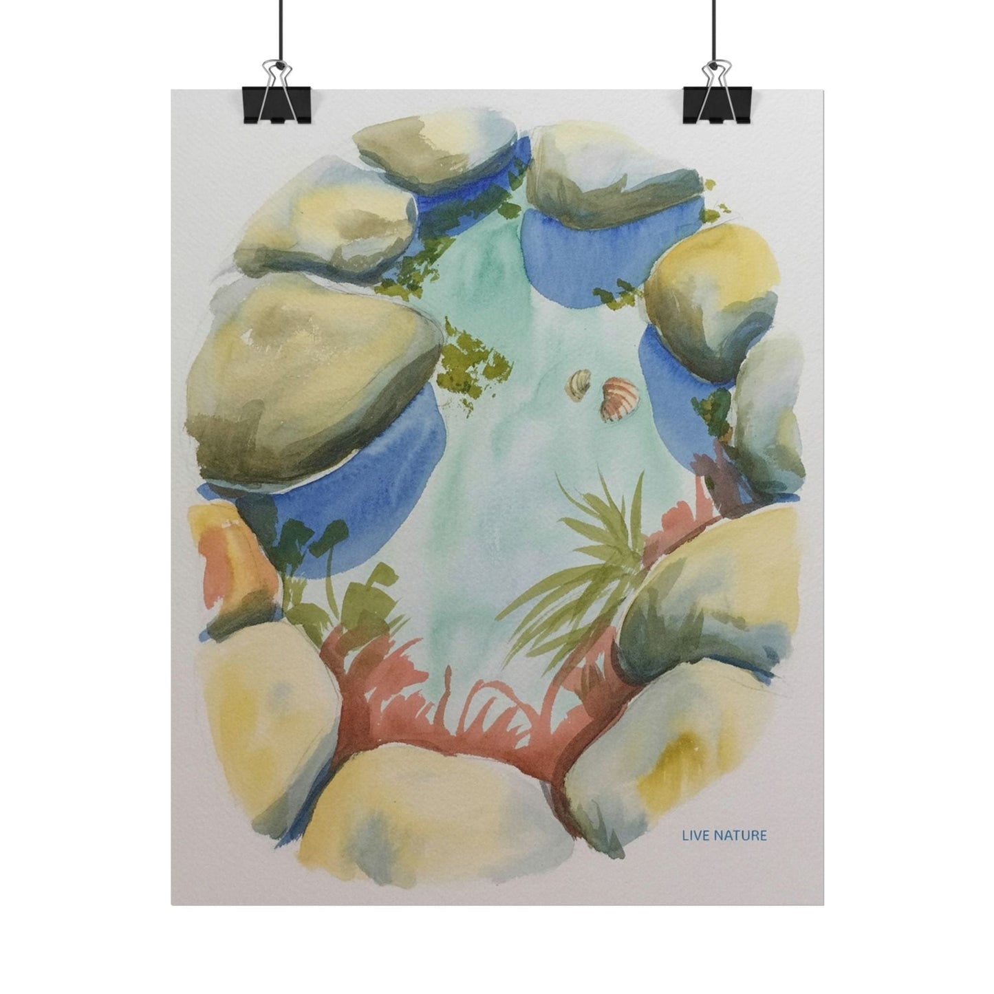 Rocky Tide Pool Watercolor Art Print 'Live Nature