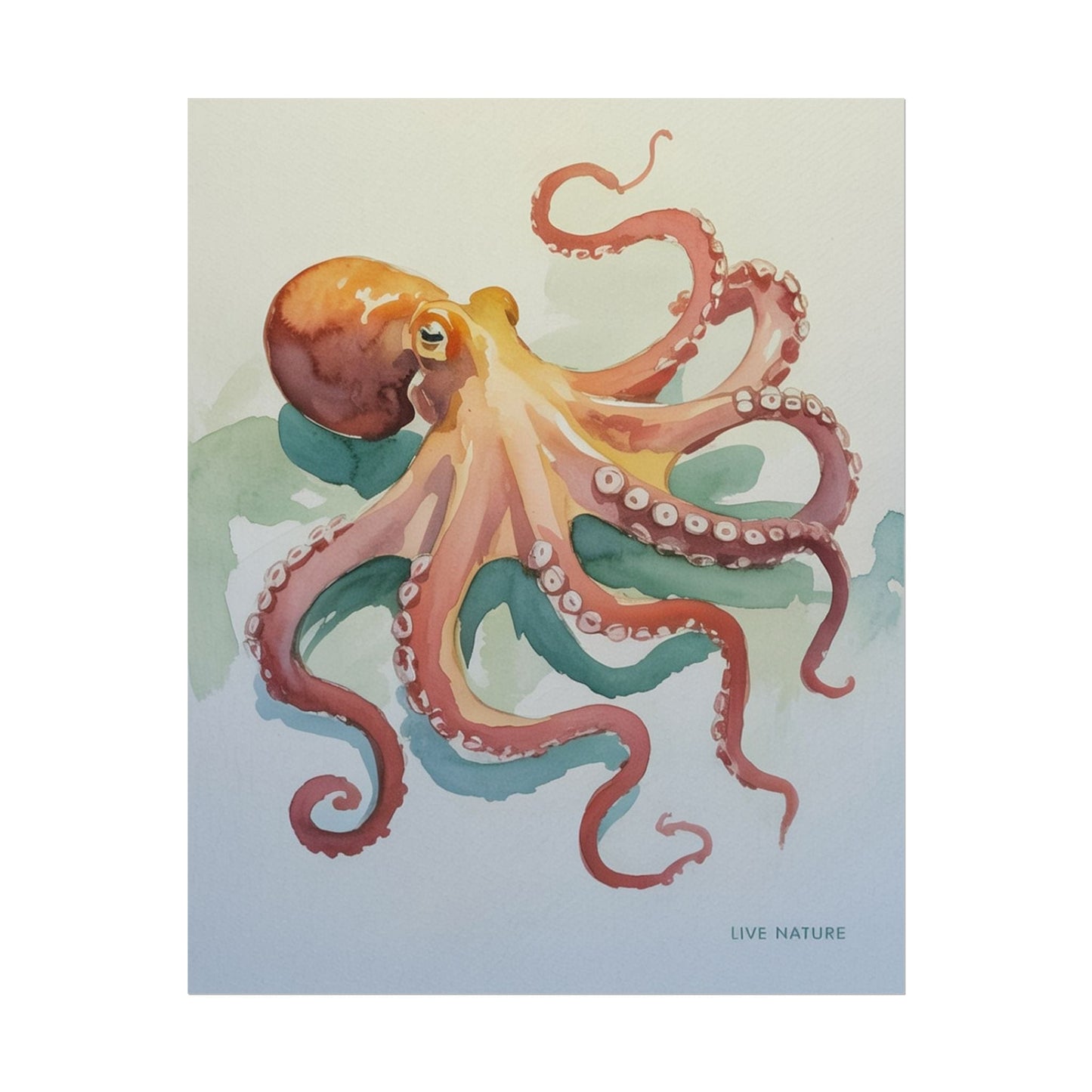 Watercolor Octopus Live Nature Art Print Poster