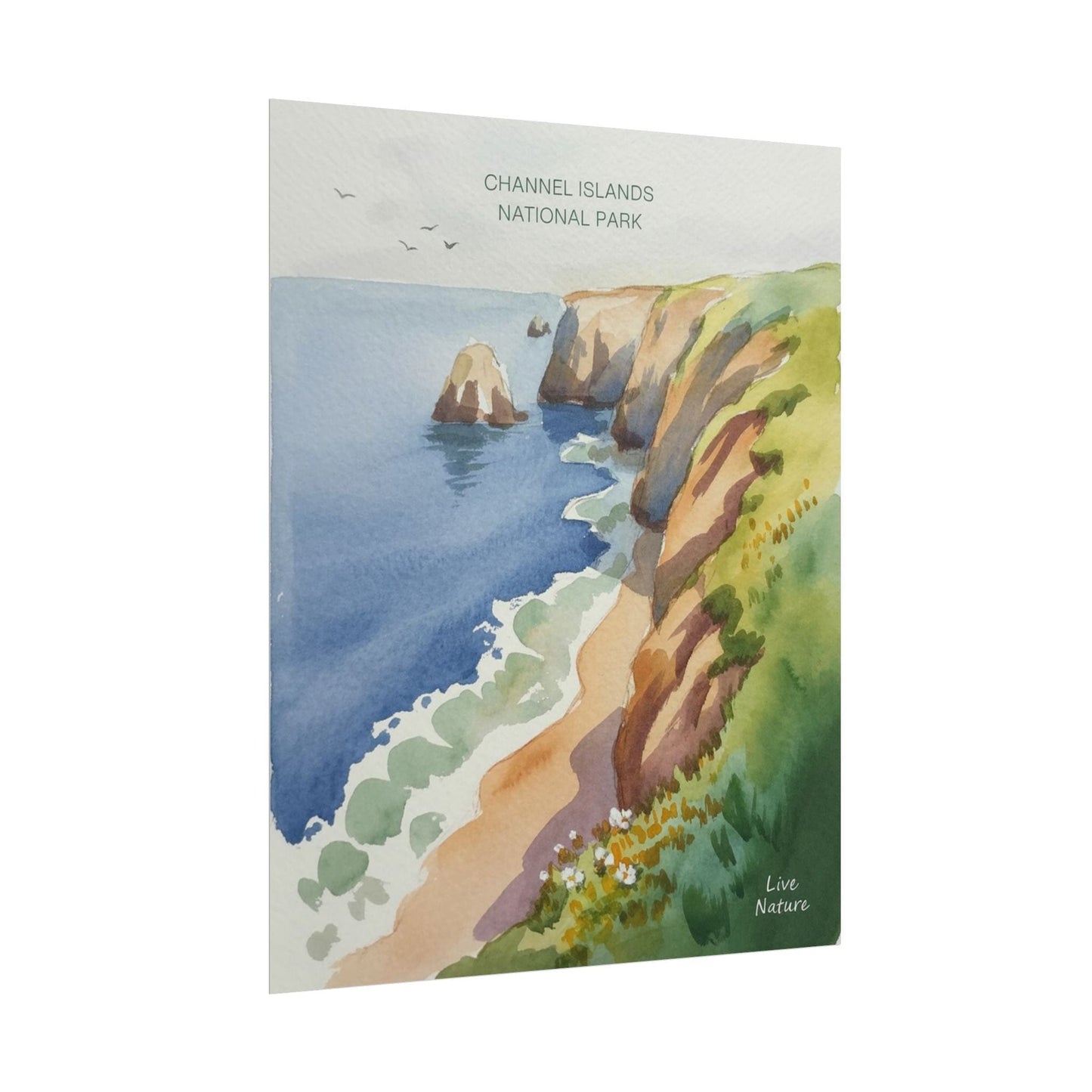 Channel Islands National Park Watercolor Poster Print