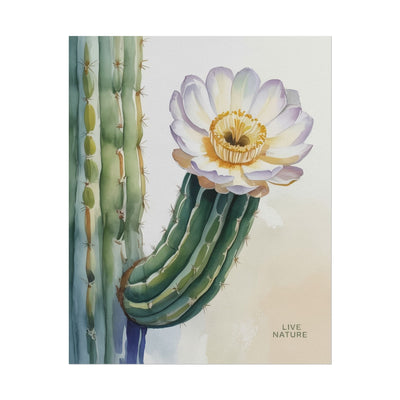 Saguaro Cactus Bloom Watercolor Art Print 'Live Nature