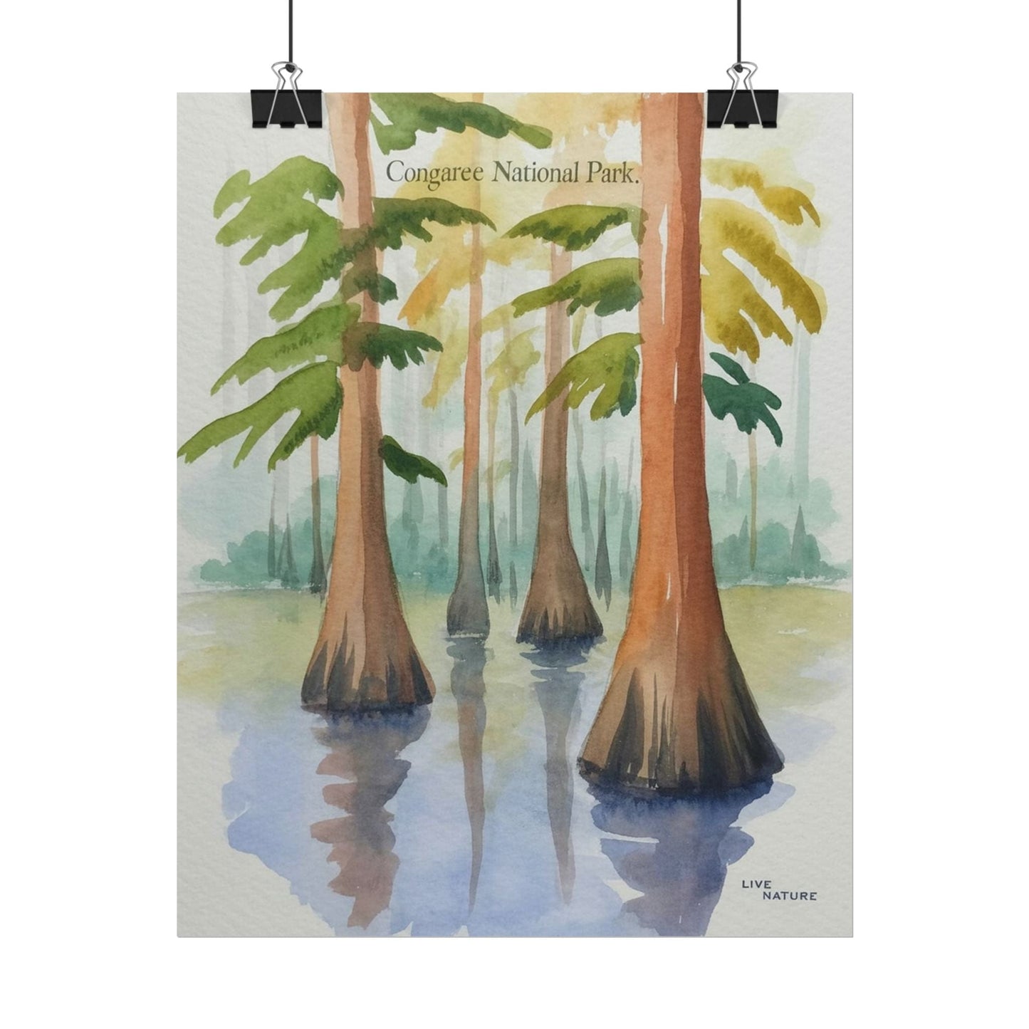 Congaree National Park Cypress Watercolor Poster