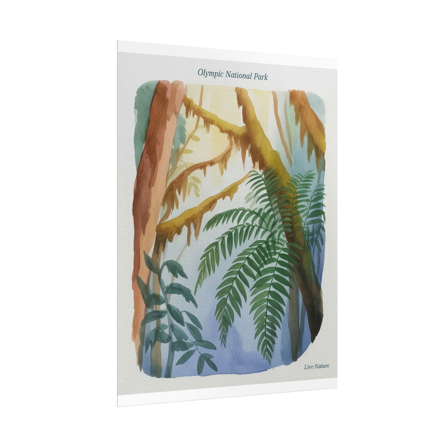 Olympic National Park Watercolor Forest Poster