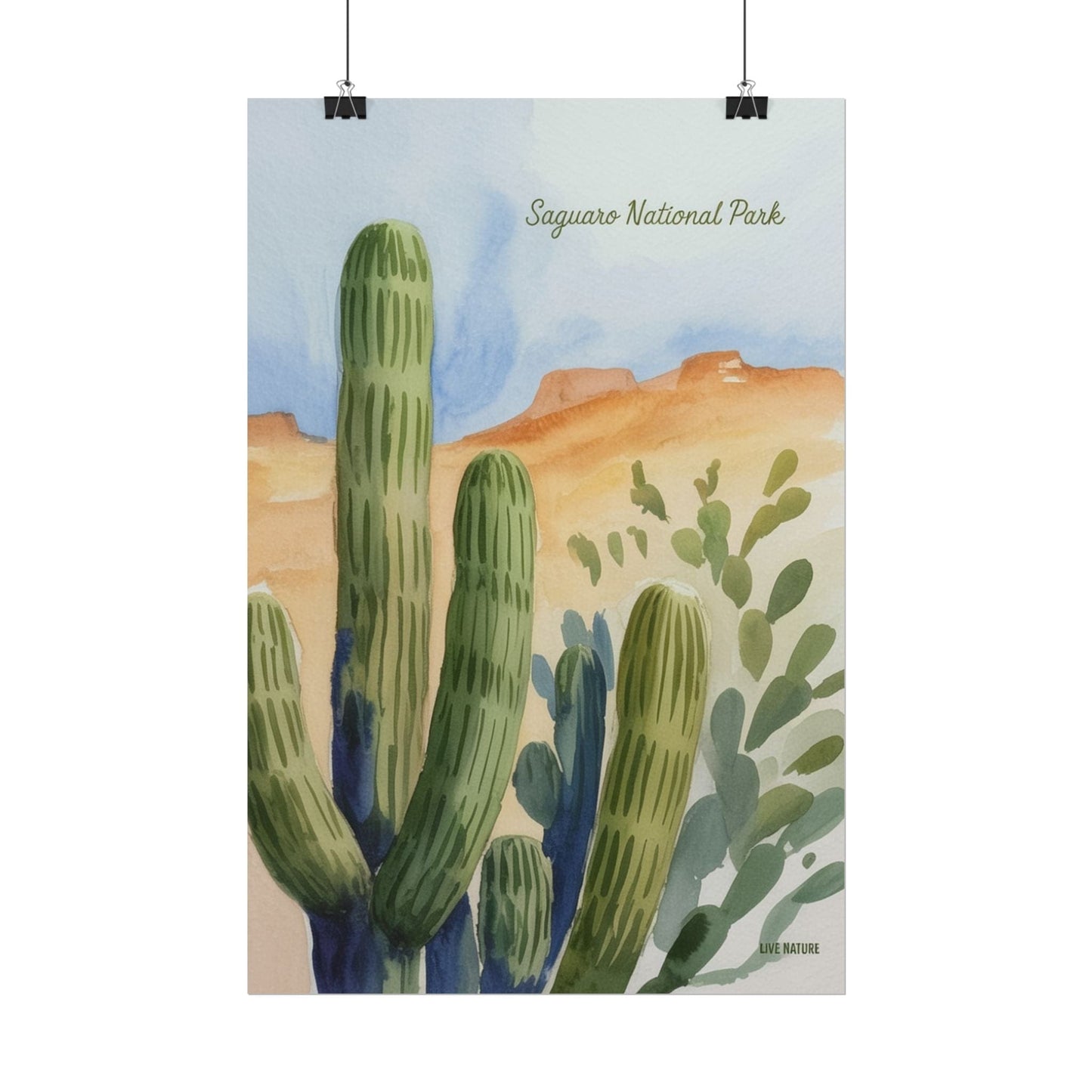Saguaro National Park Watercolor Cactus Art Print