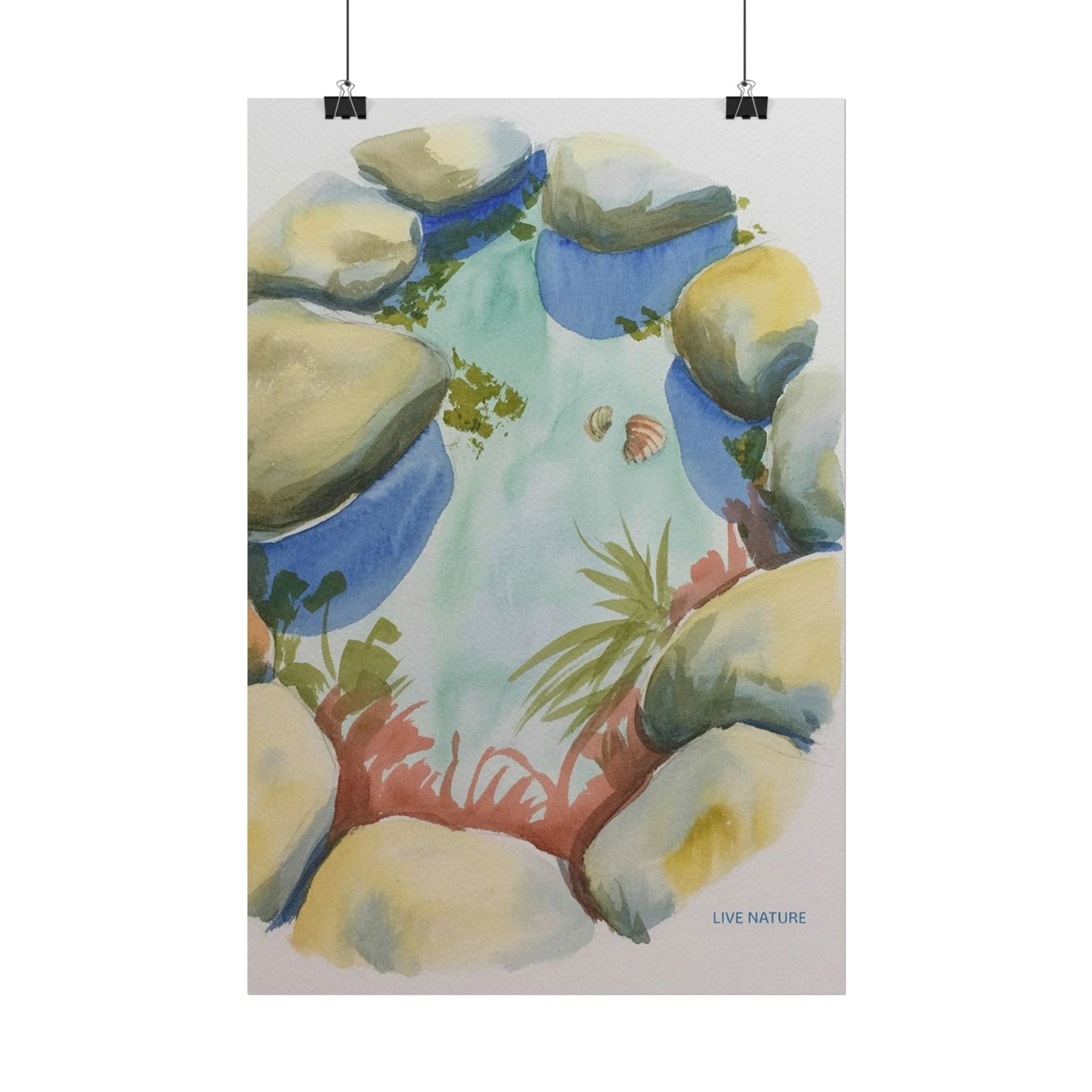 Rocky Tide Pool Watercolor Art Print 'Live Nature