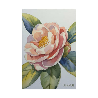 Camellia Flower Watercolor Art Print 'Live Nature