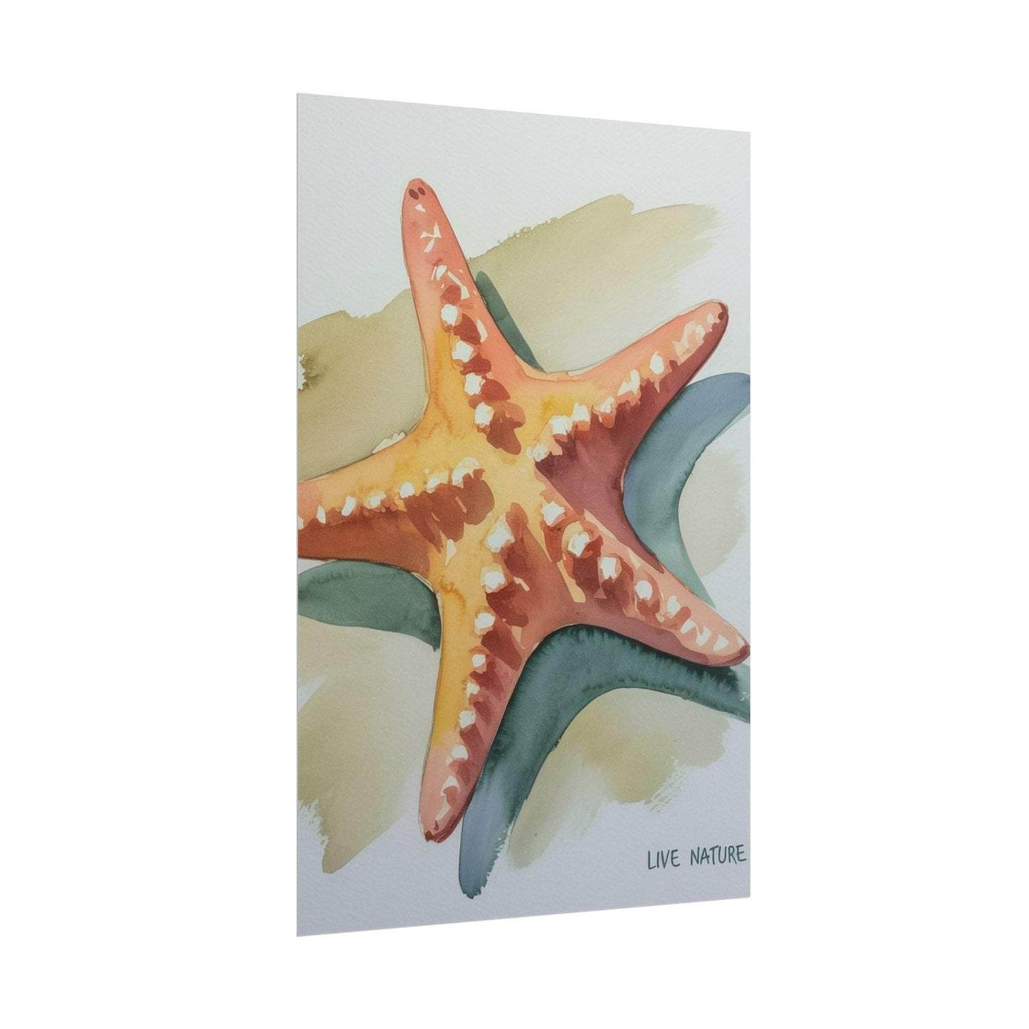 Starfish Watercolor Art Print 'Live Nature' Design