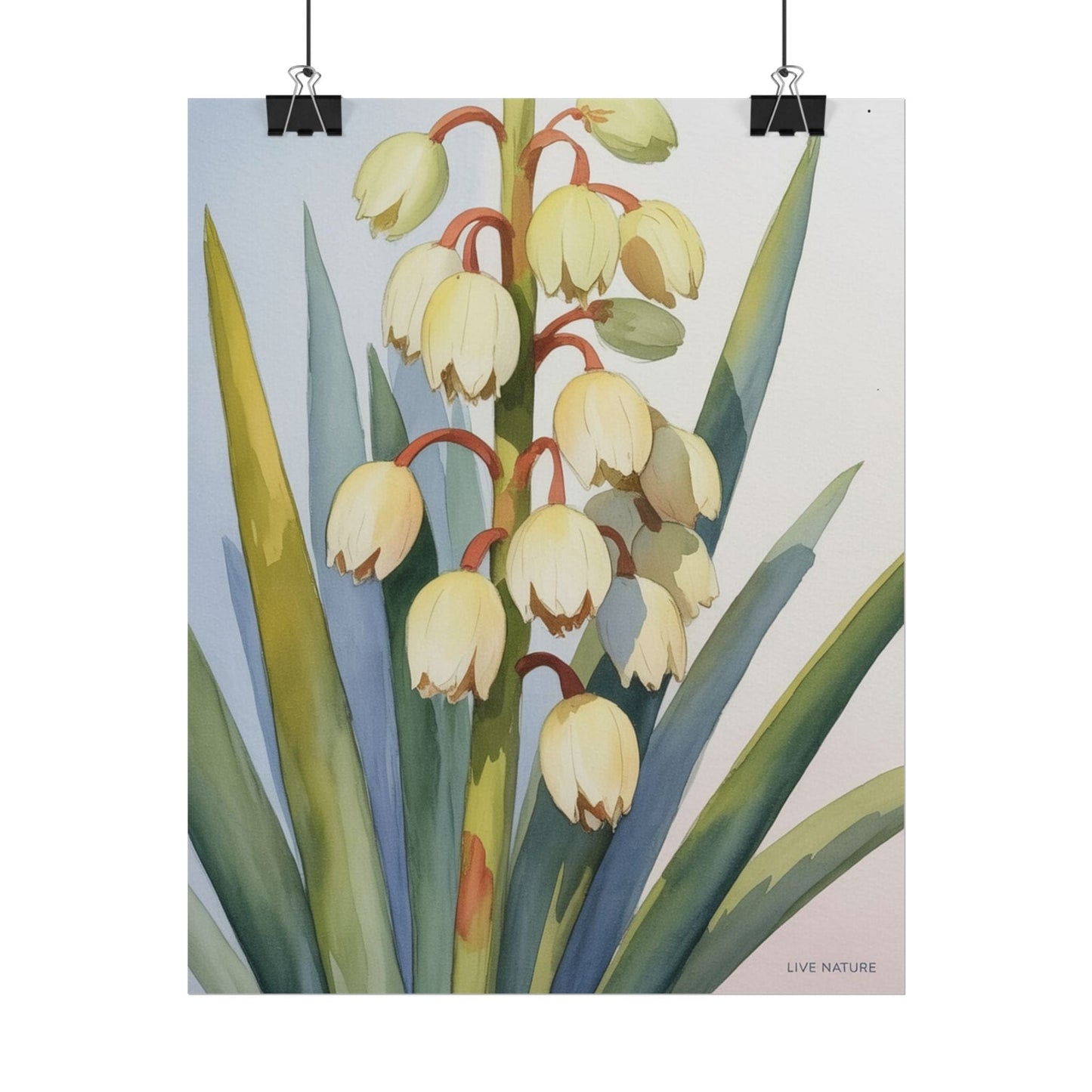 Yucca Bloom Watercolor Print Live Nature Collection