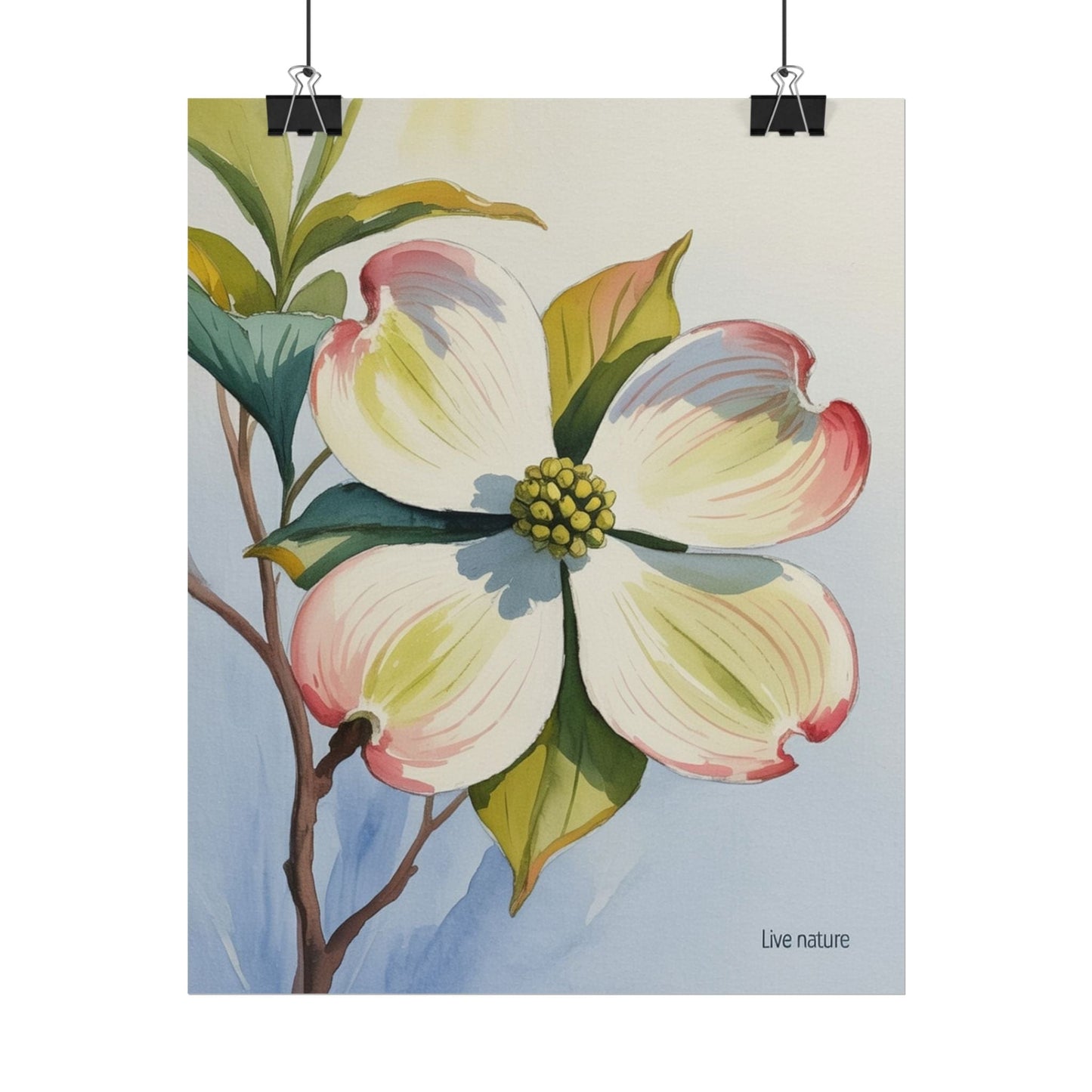 North Carolina Dogwood Watercolor Art Print