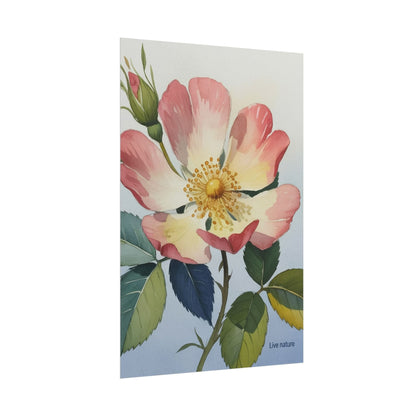 Wild Prairie Rose Watercolor Art Print