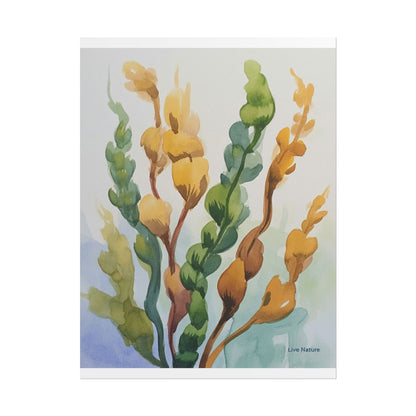 Seaweed Watercolor Art Print Coastal Nature Design