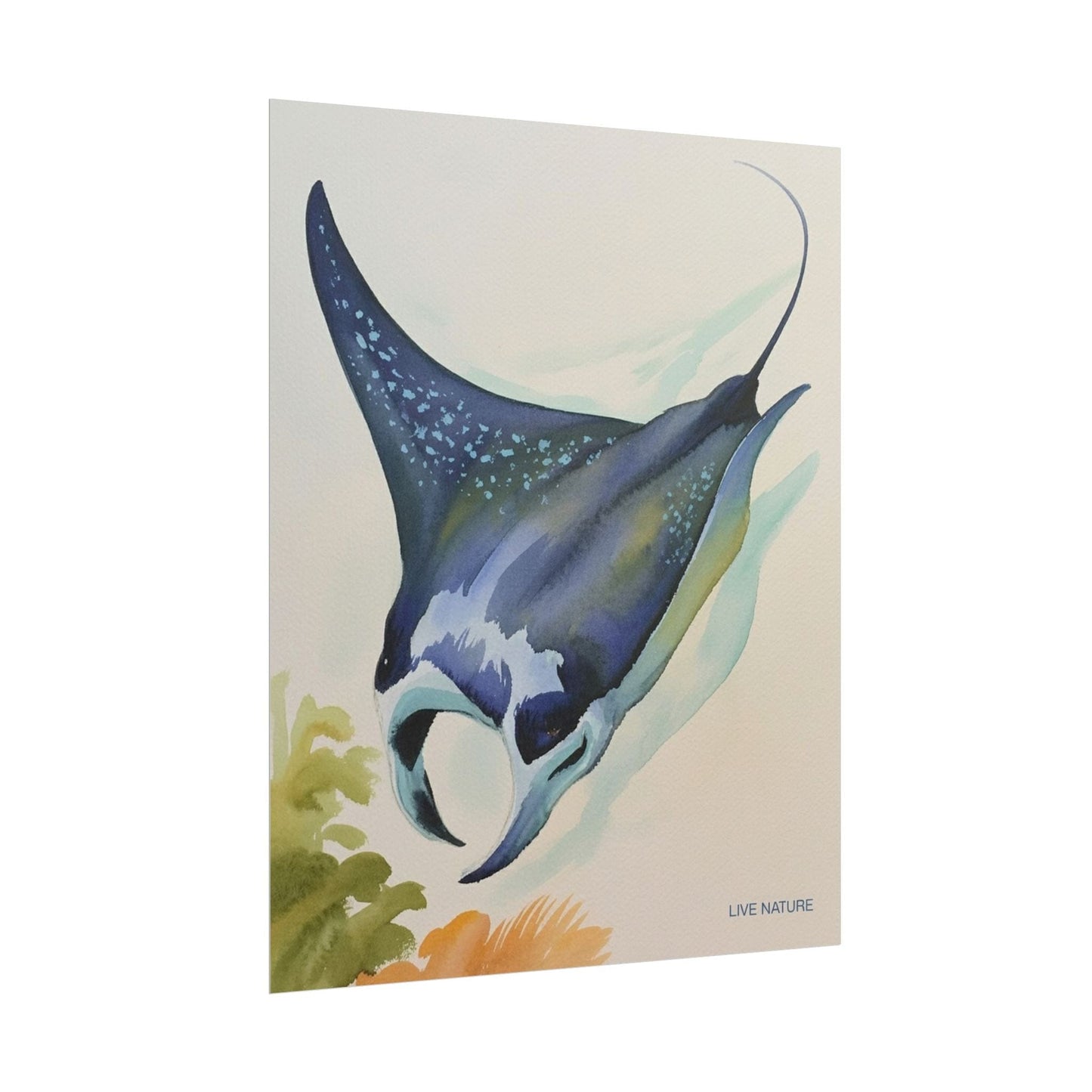 Manta Ray Watercolor Art Print 'Live Nature' Design