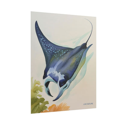 Manta Ray Watercolor Art Print 'Live Nature' Design