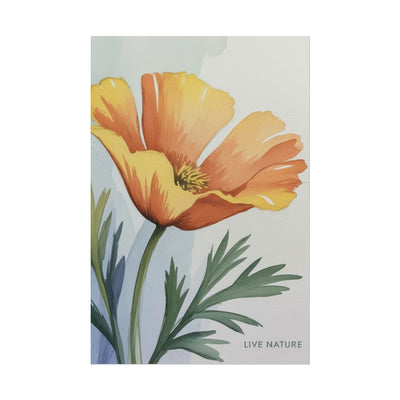 California Poppy Watercolor Art Print 'Live Nature