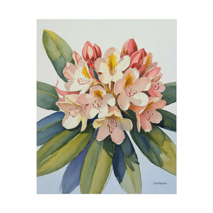 Coast Rhododendron Watercolor Print Washington Art