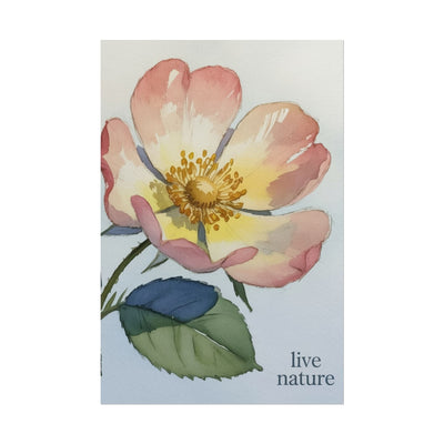 Wild Prairie Rose Watercolor Print with 'Live Nature' Text