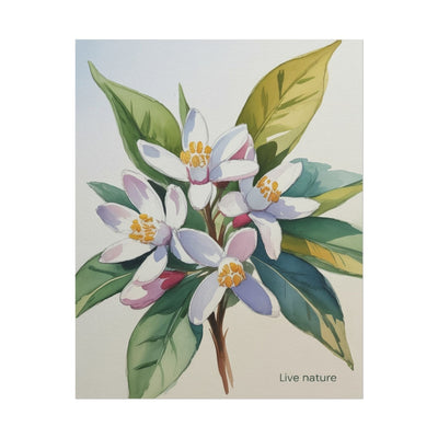 Orange Blossom Floral Watercolor Print 'Live Nature