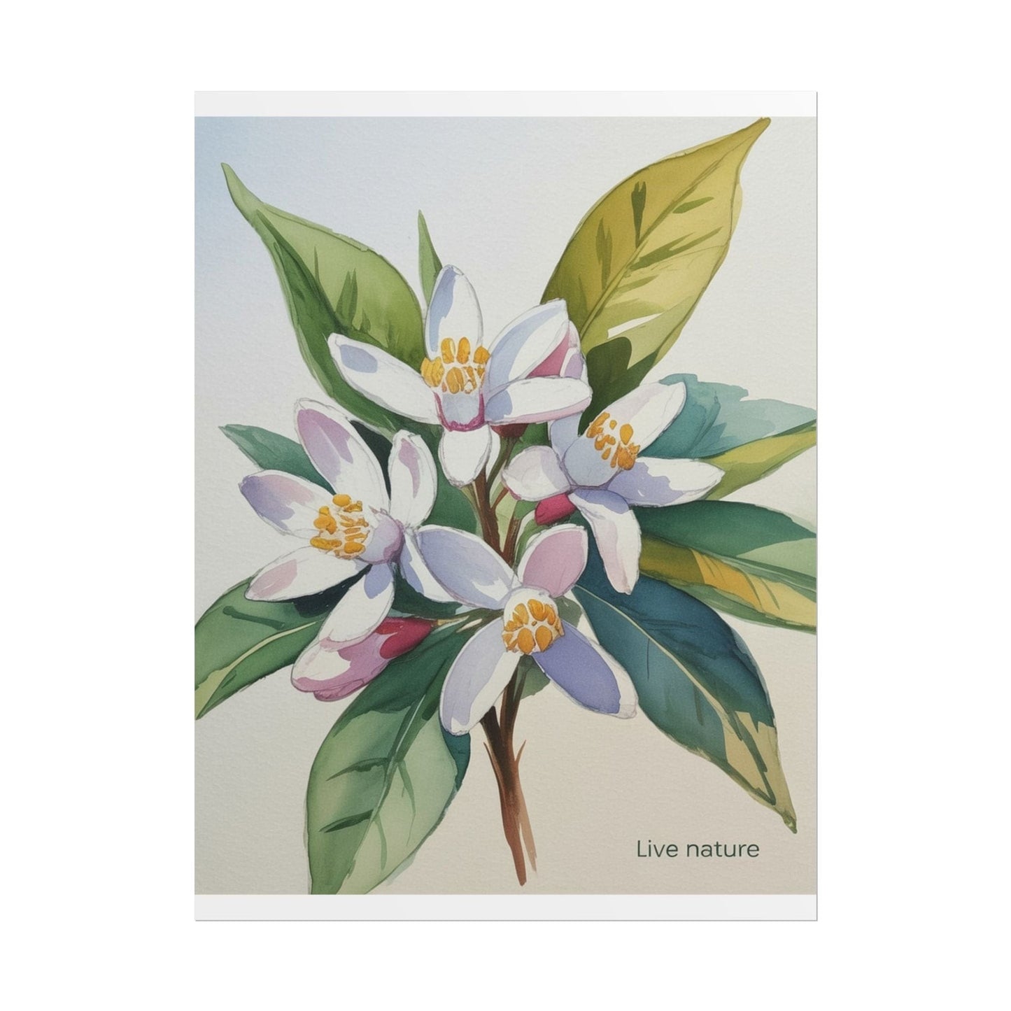 Orange Blossom Floral Watercolor Print 'Live Nature