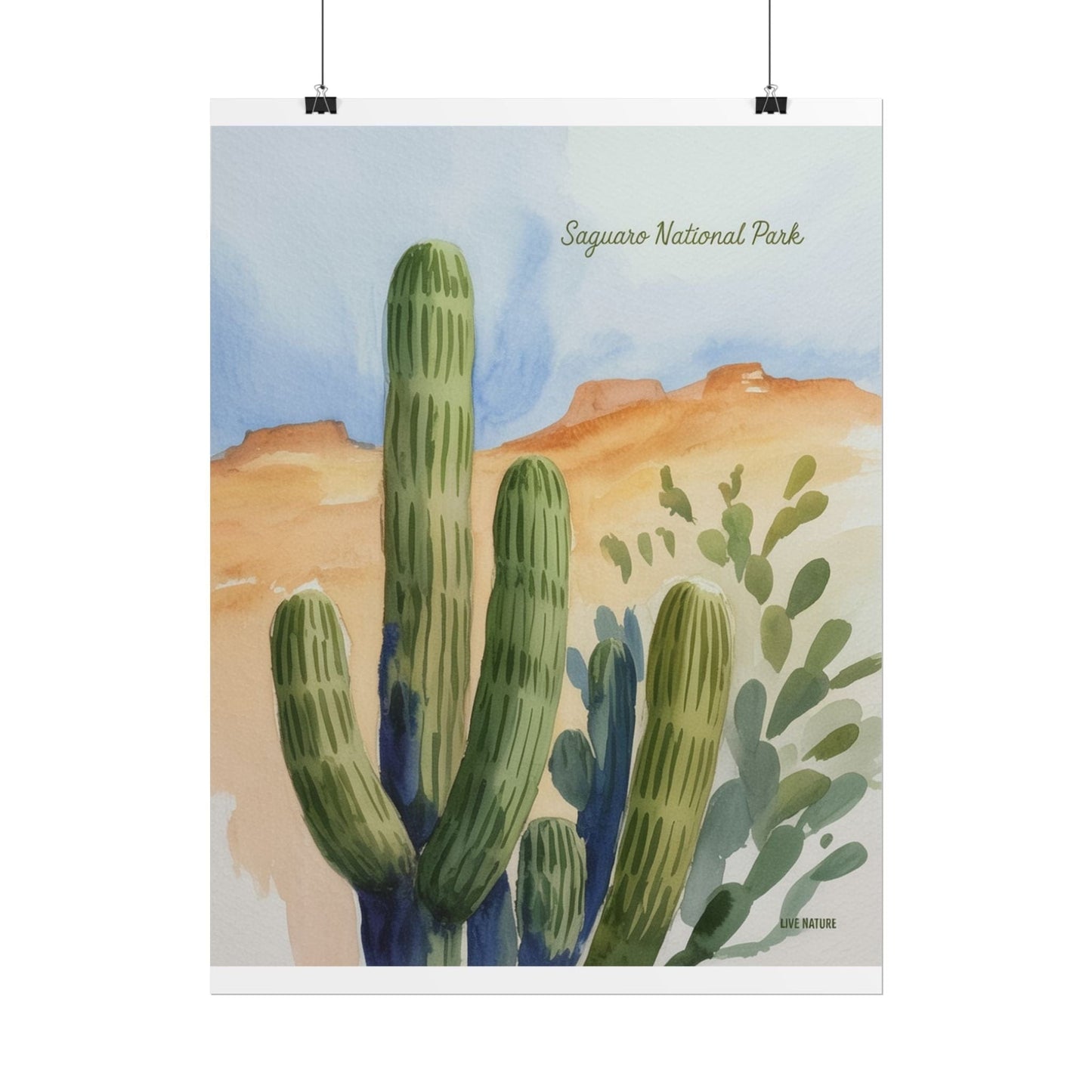 Saguaro National Park Watercolor Cactus Art Print
