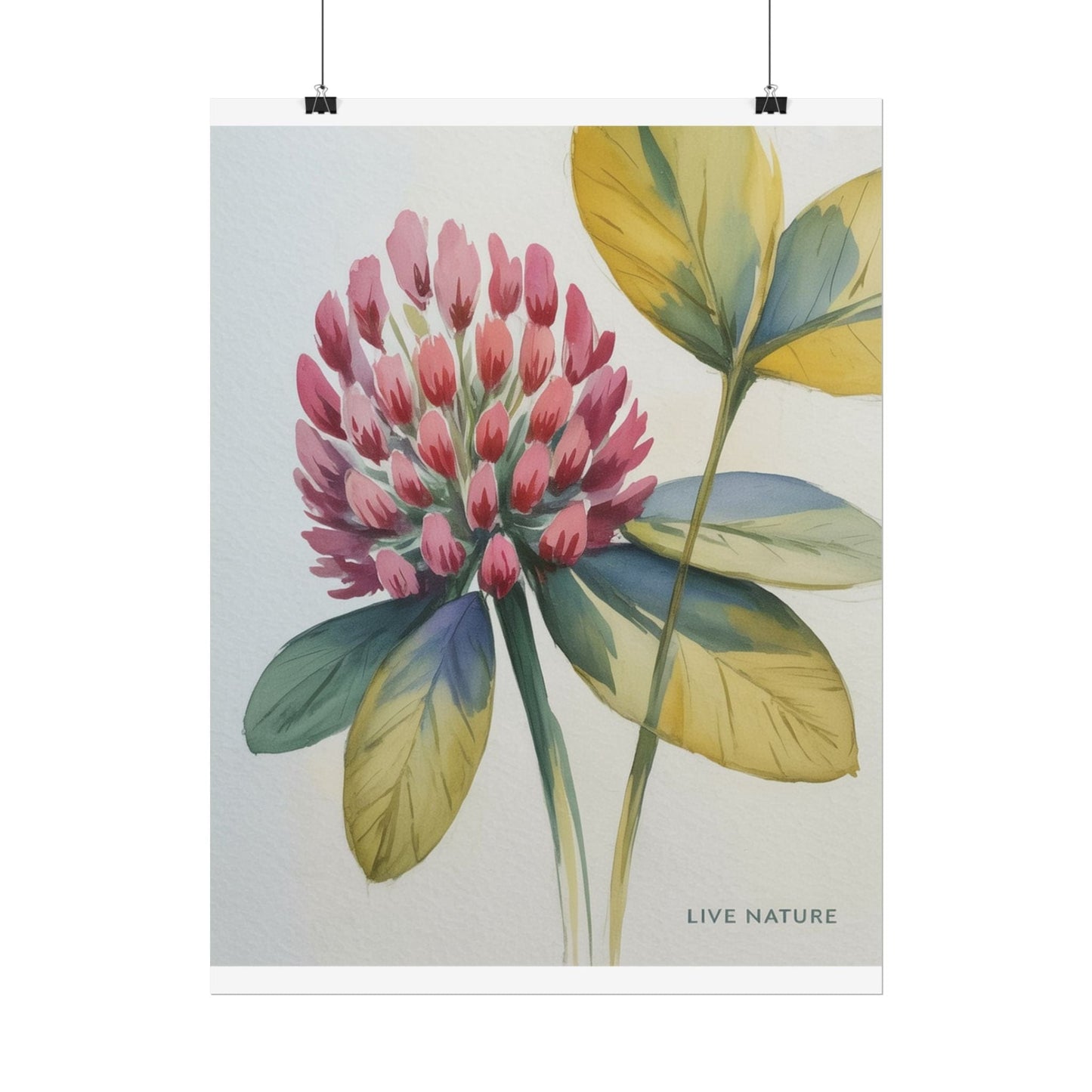 Red Clover Botanical Art Print 'Live Nature' Design