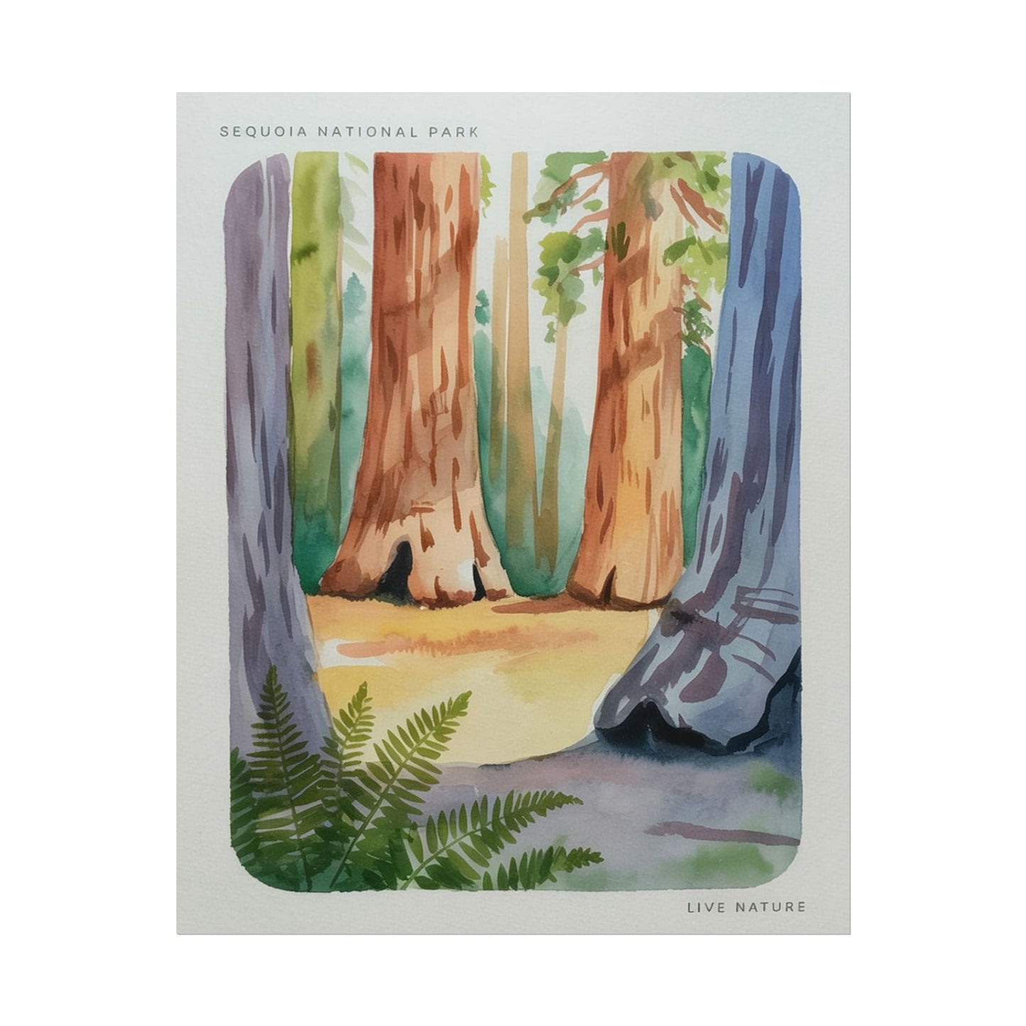Sequoia National Park Watercolor Print Poster