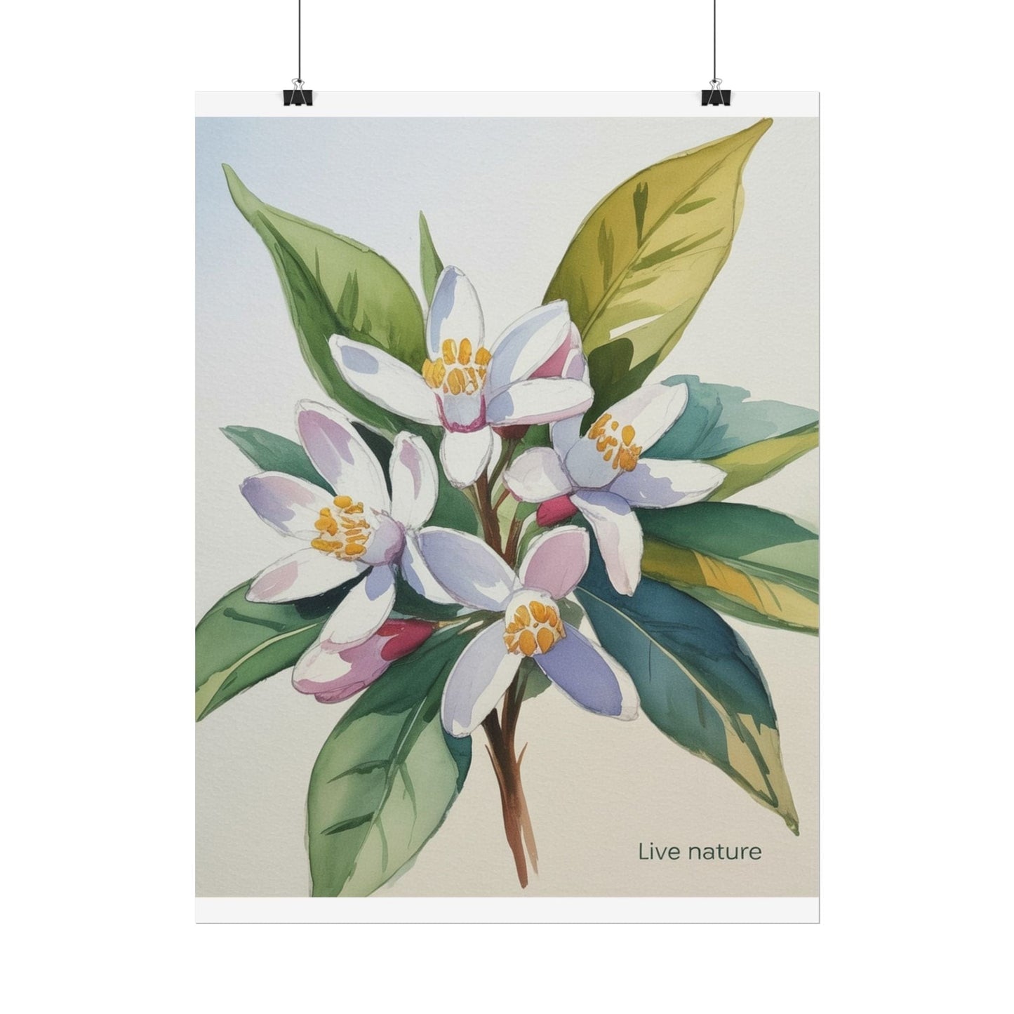 Orange Blossom Floral Watercolor Print 'Live Nature