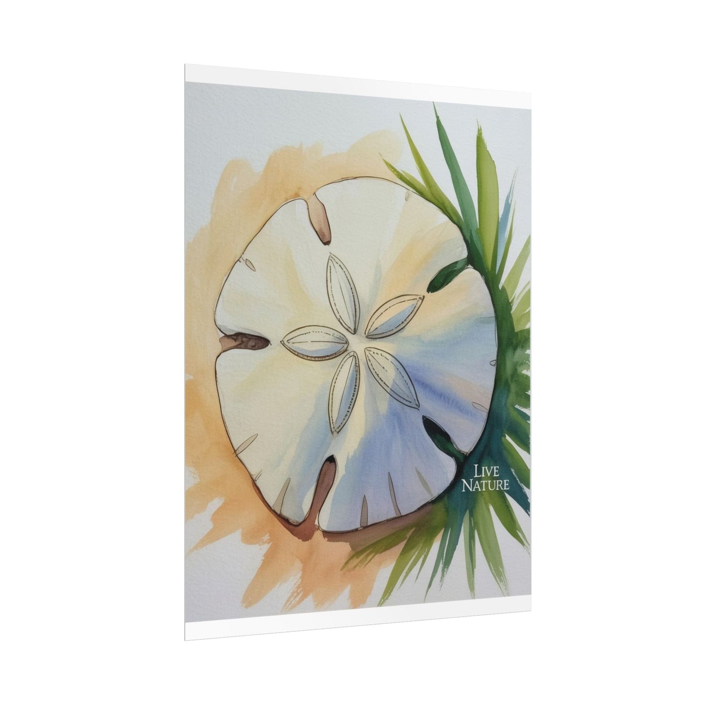 Sand Dollar Watercolor Print with 'Live Nature' Text