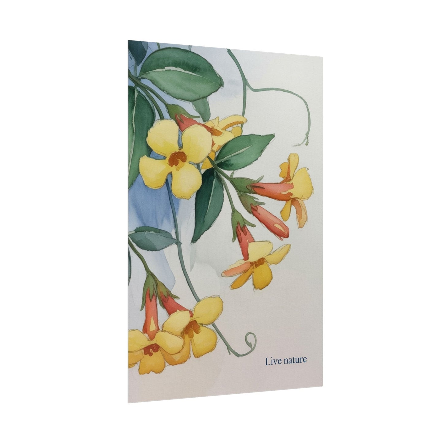 Yellow Jessamine Watercolor Art Print 'Live Nature