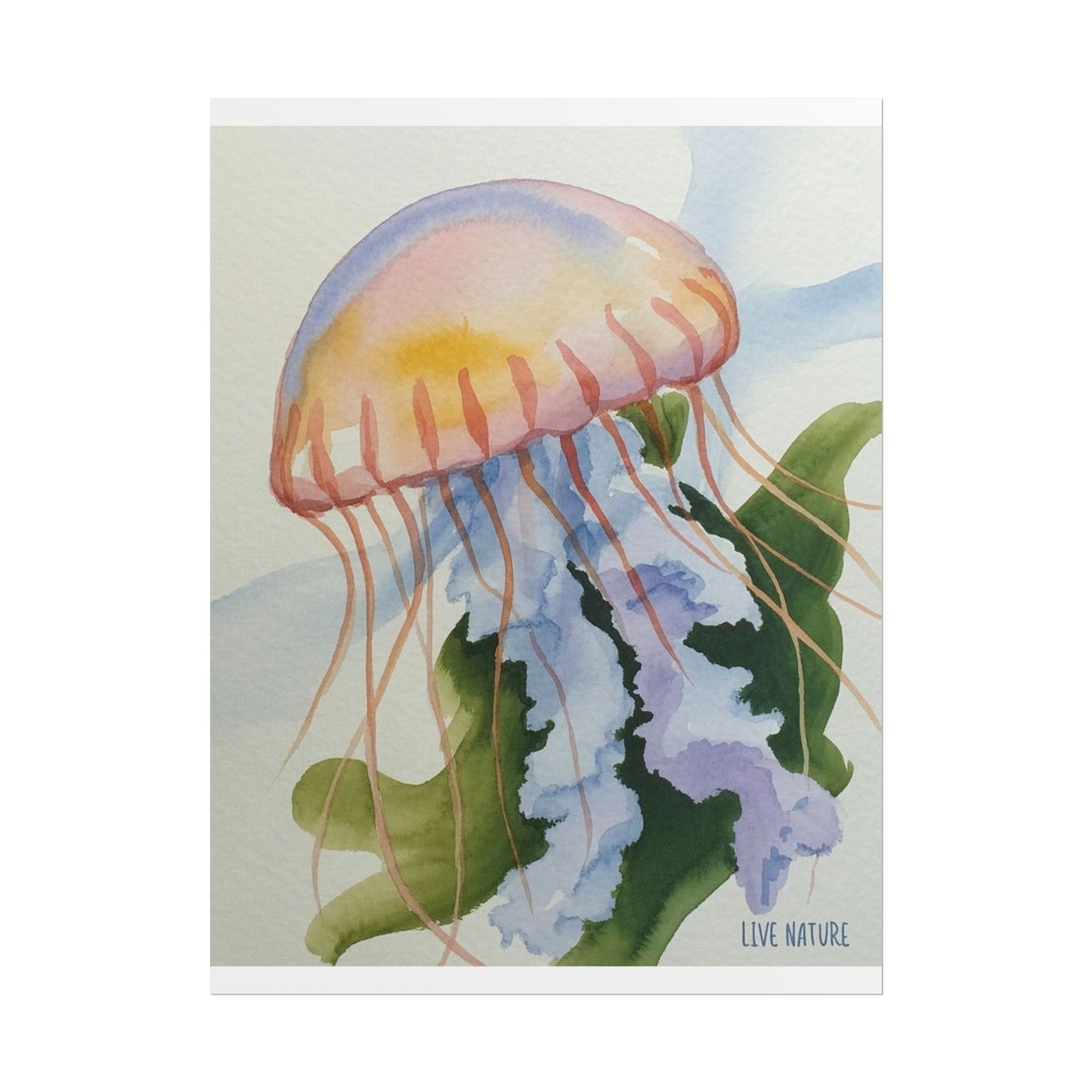 Jellyfish Watercolor Art Print 'Live Nature' Design