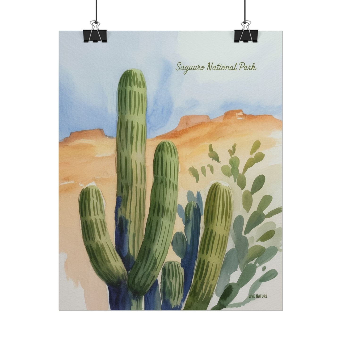 Saguaro National Park Watercolor Cactus Art Print