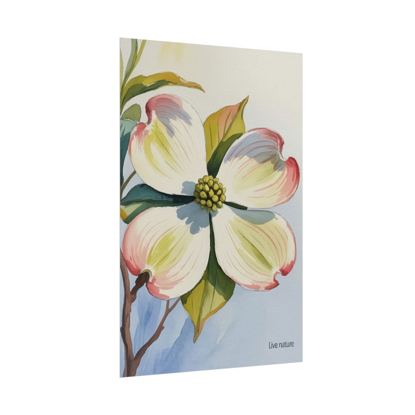 North Carolina Dogwood Watercolor Art Print