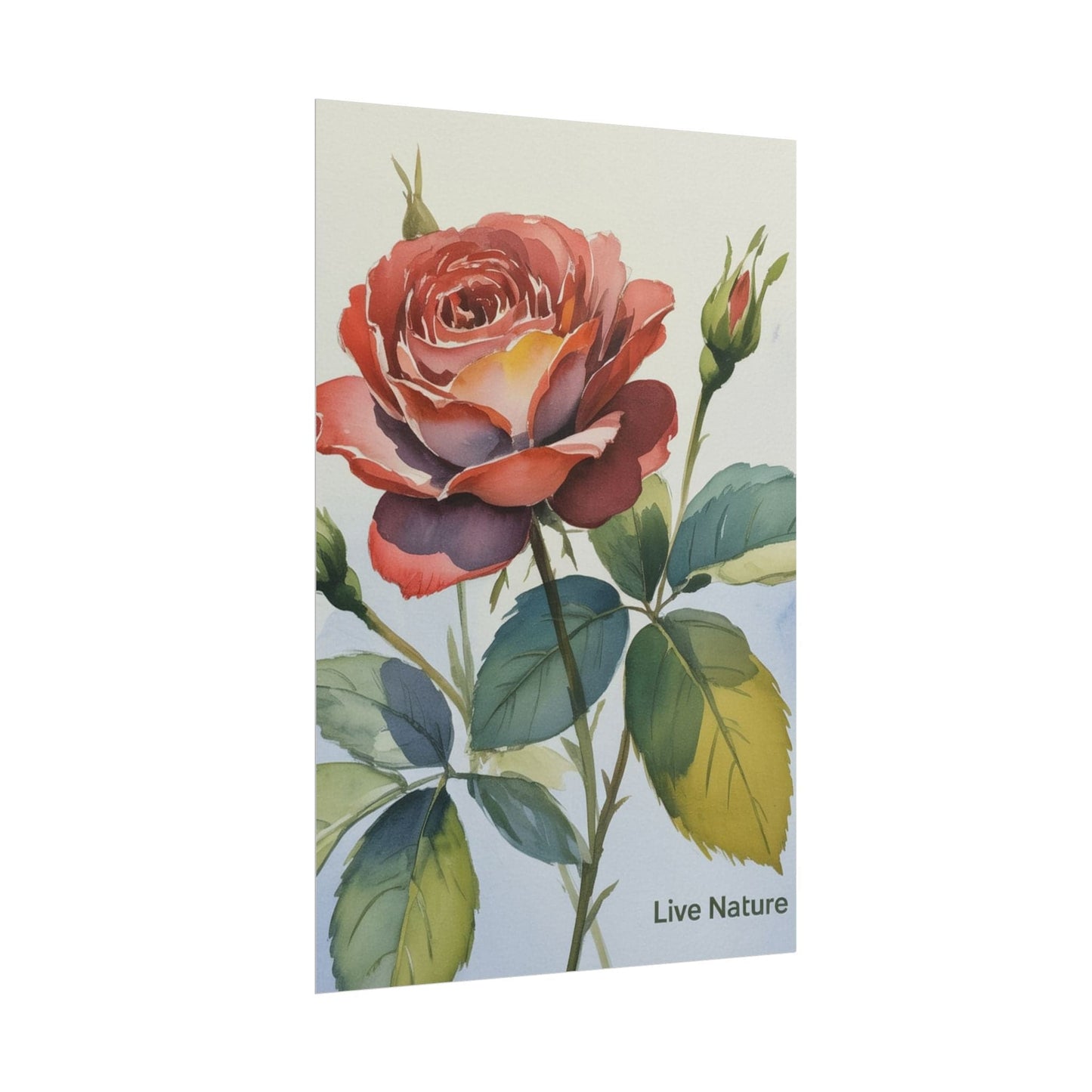 Live Nature Watercolor Rose Art Print Poster