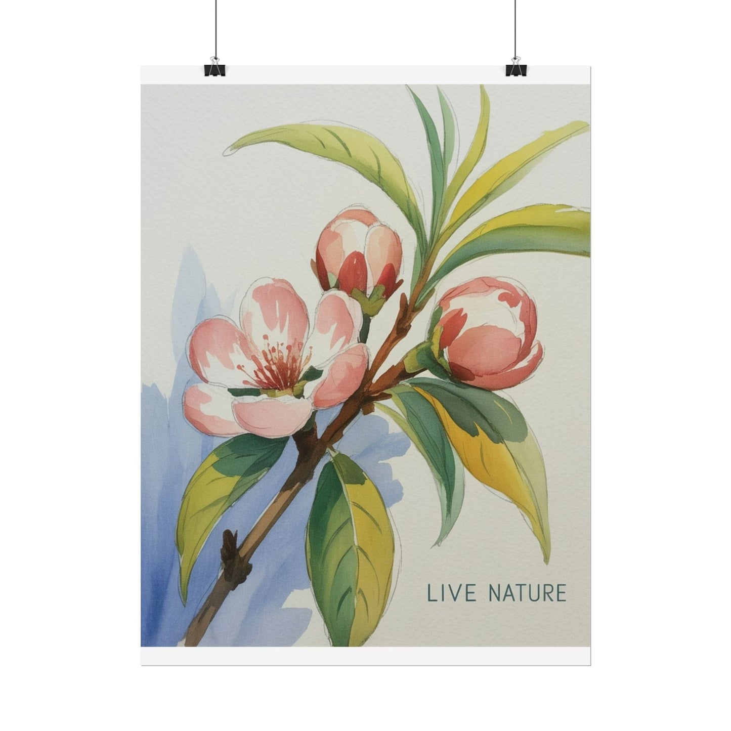 Peach Blossom Live Nature Art Print Poster