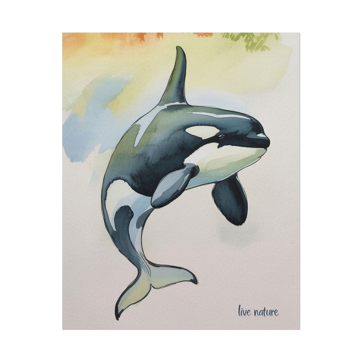 Orca Watercolor Art Print 'Live Nature' Matte Finish