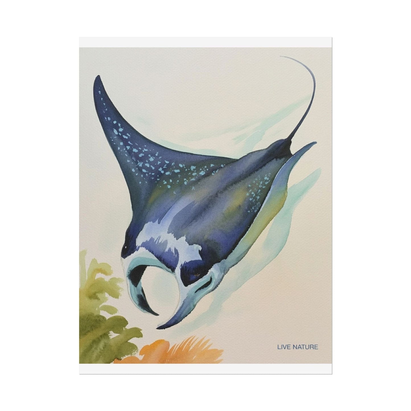 Manta Ray Watercolor Art Print 'Live Nature' Design
