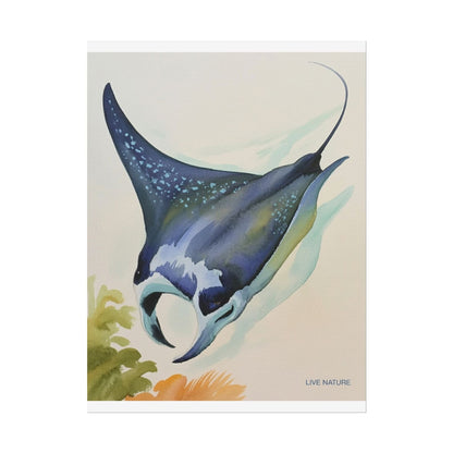 Manta Ray Watercolor Art Print 'Live Nature' Design