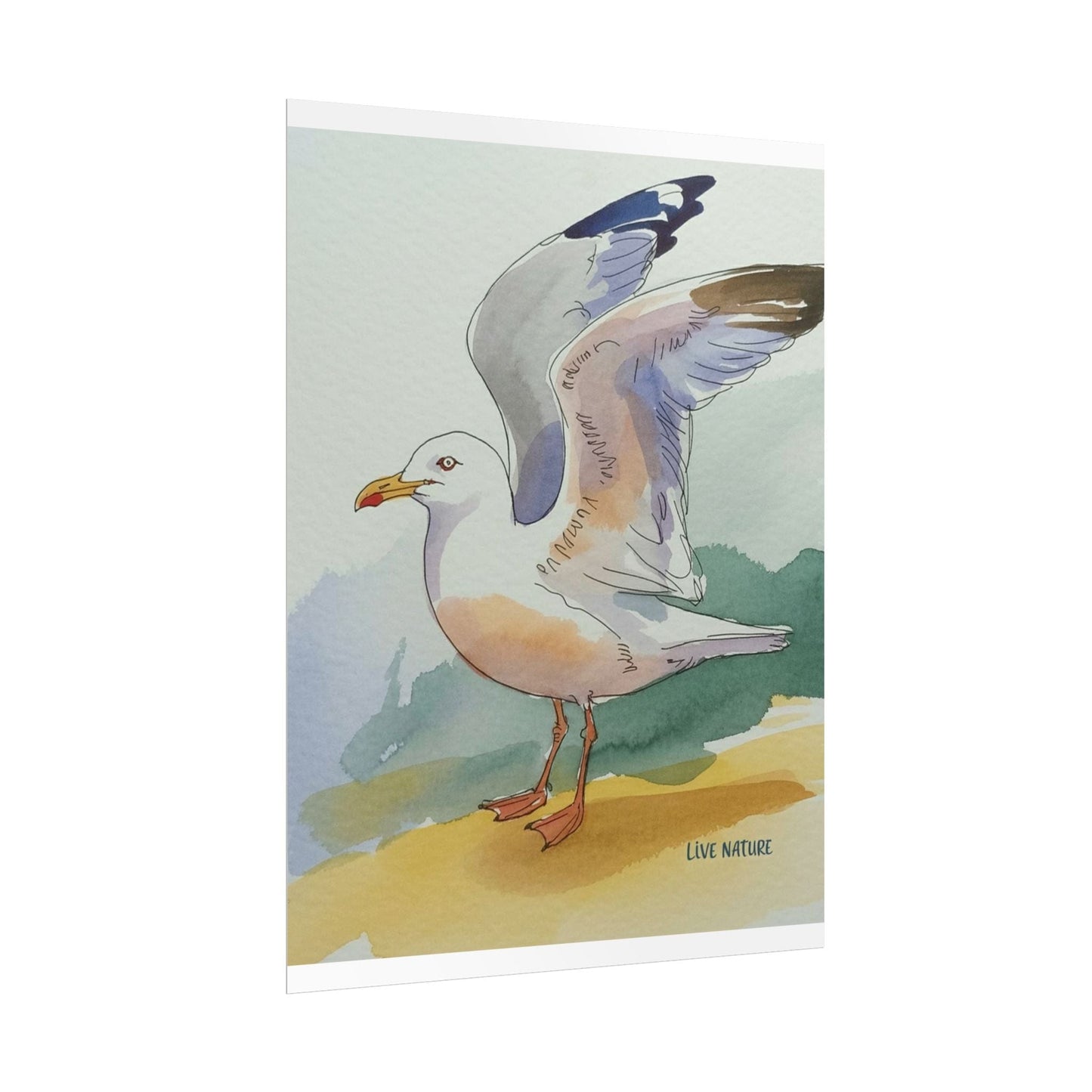 Seagull Watercolor Art Print 'Live Nature' Edition